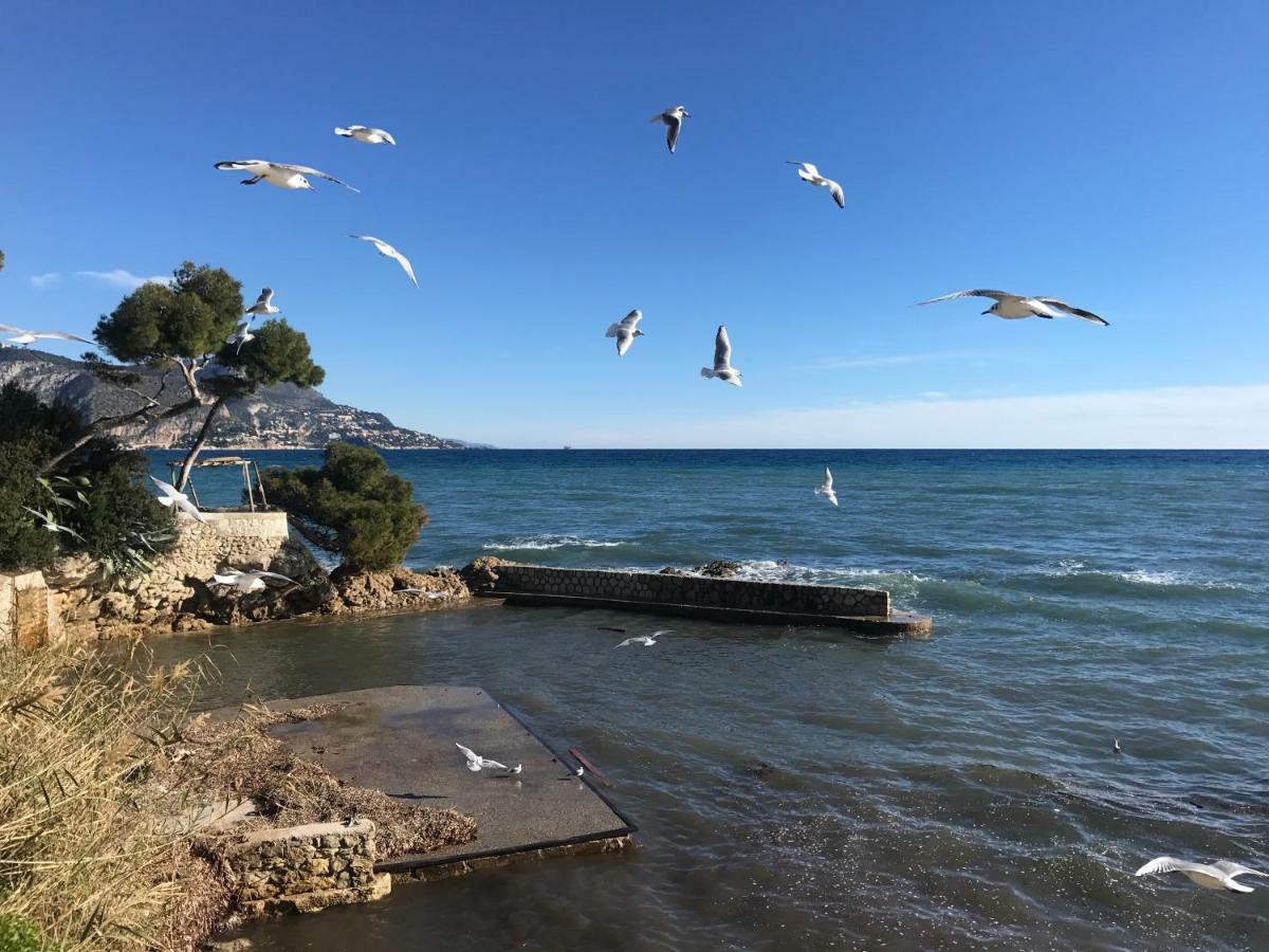 شقة "L'Olivadou" St Jean Cap Ferrat سا جو كاب فيرا المظهر الخارجي الصورة